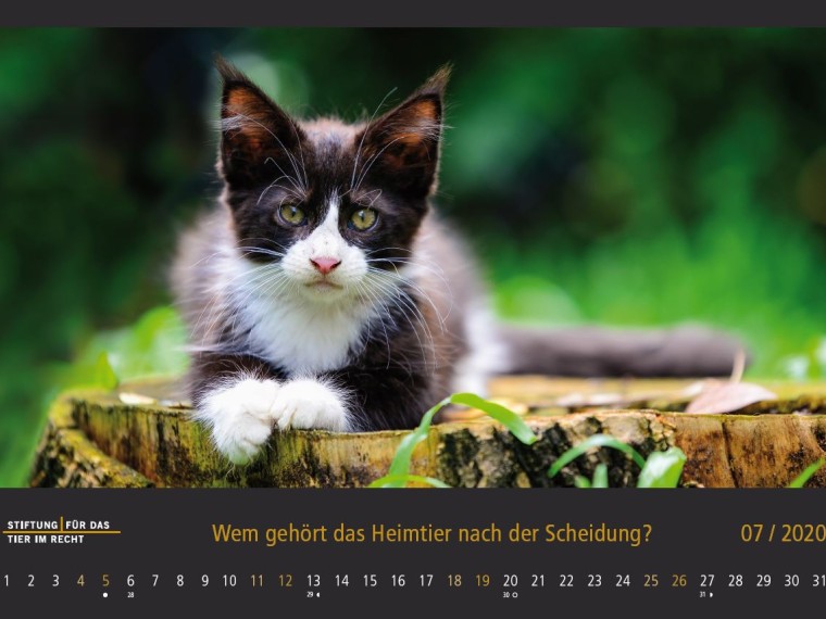 TIR-Kalender 2020 – Tierschutzrechtliche Frage im Juli