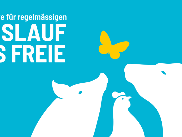 Neue Volksinitiative will Nutztiere ins Freie bringen – TIR freut sich, eine der Trägerorganisationen zu sein