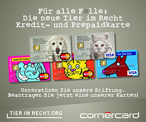 CornerCard