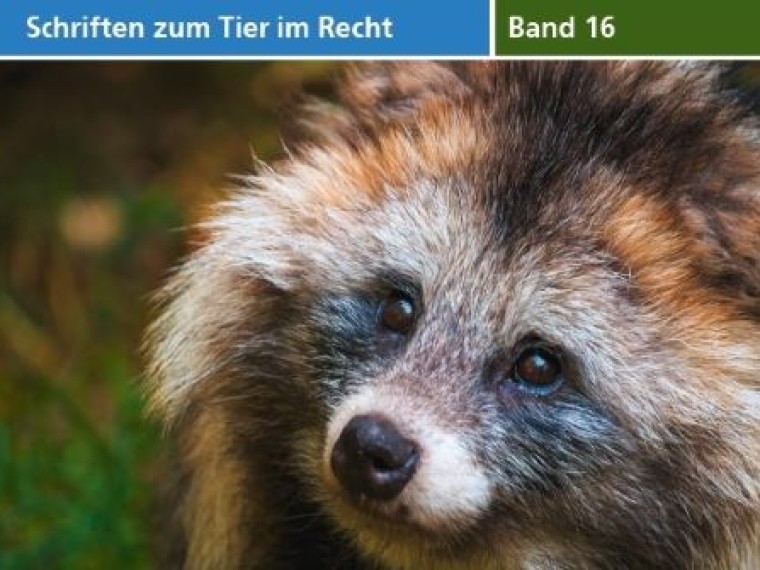 Band 16 