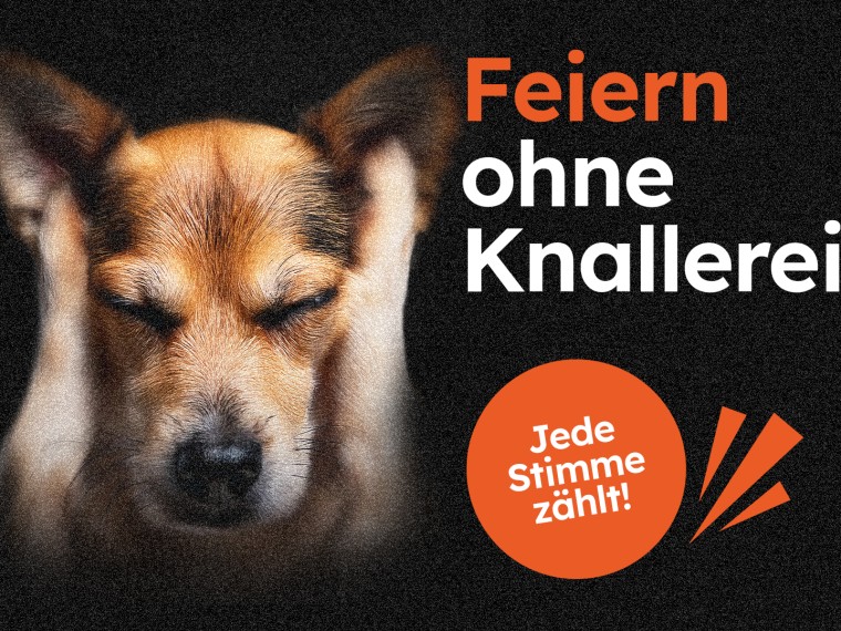 FWI: Vernehmlassung läuft – jetzt mitmachen!