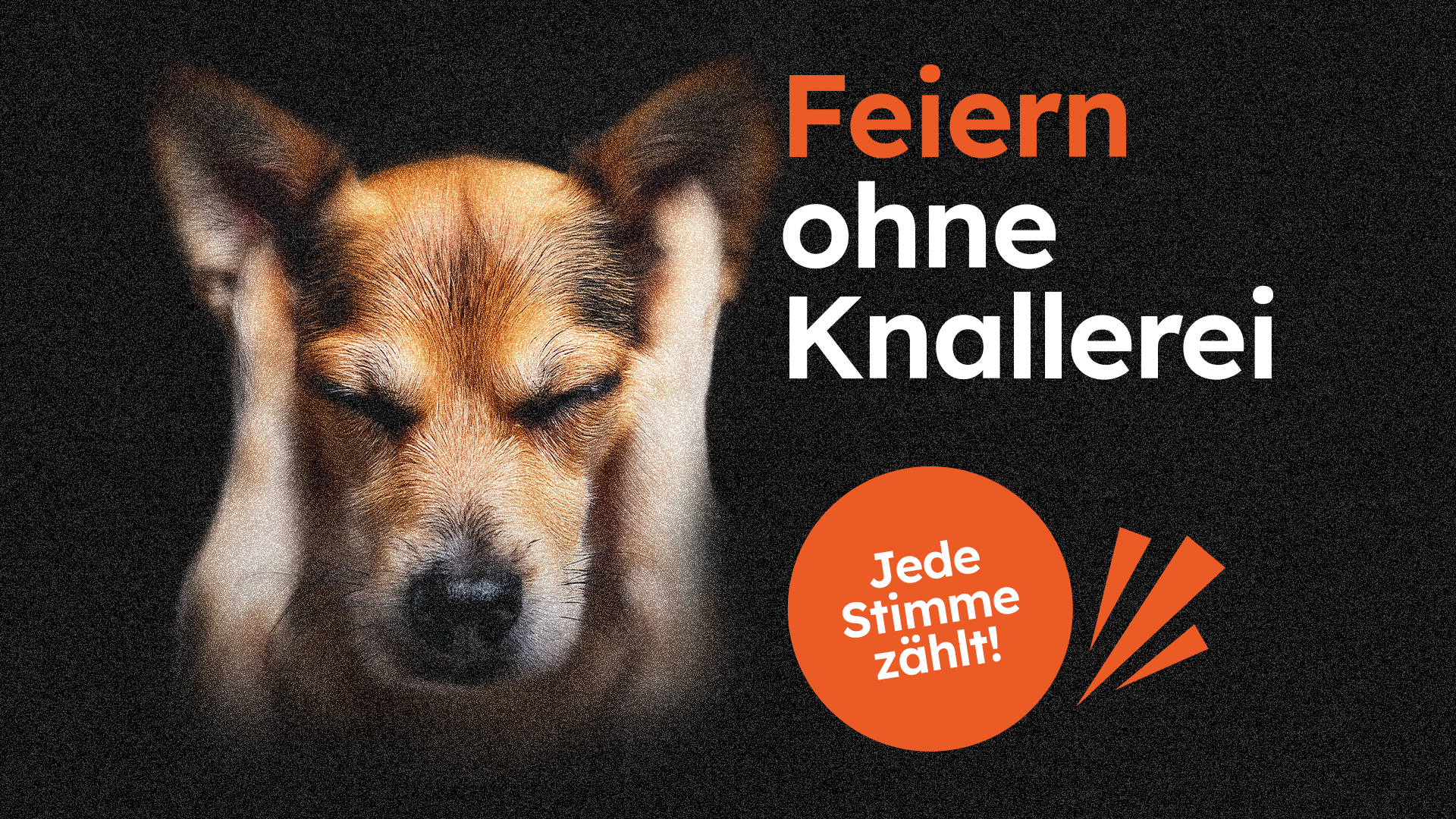 FWI Feiern ohne Knallerei