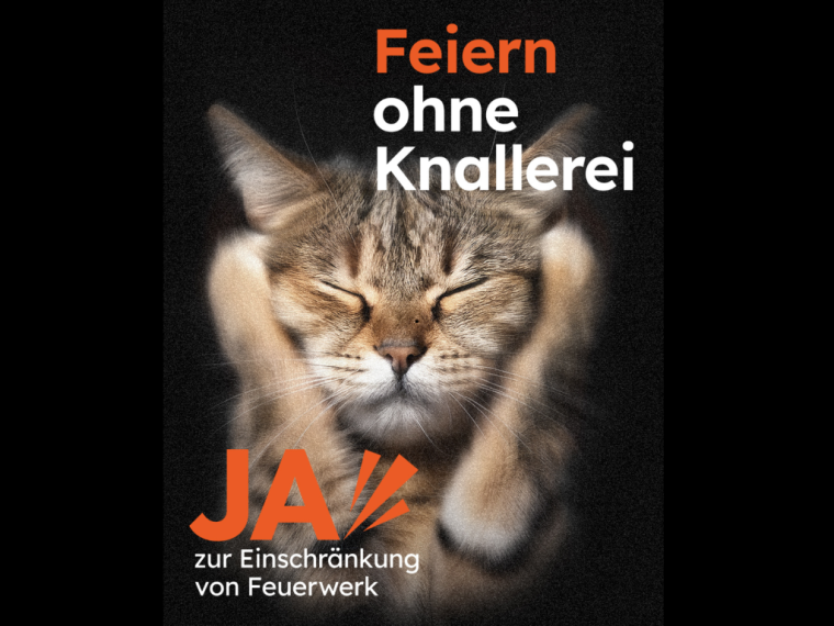Die Feuerwerksinitiative kommt vors Volk