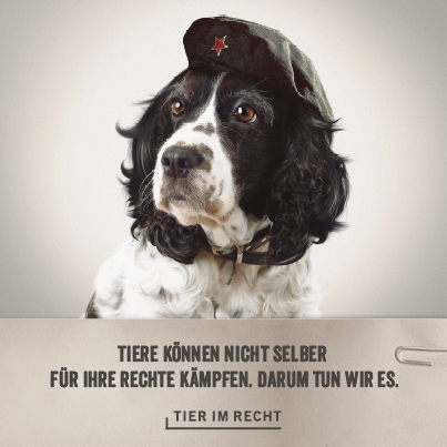 Che Hund Ruf Lanz