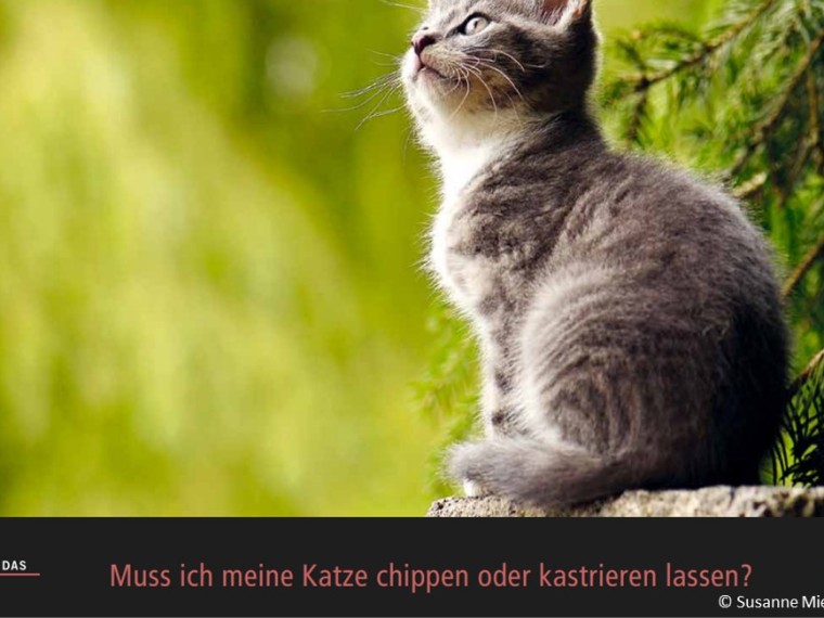 TIR-Kalender 2021 – Tierschutzrechtliche Frage im Februar