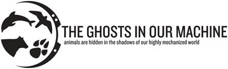 Filmlogo_The_Ghosts_in_Our_Machine.JPG
