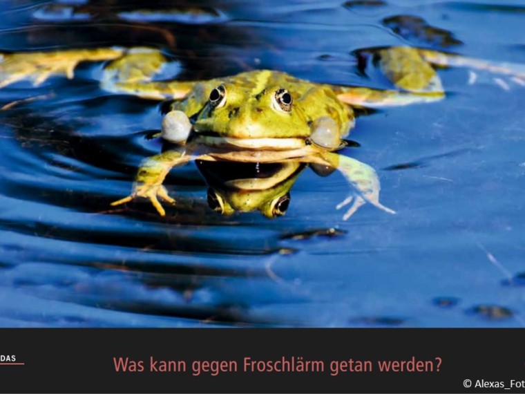 TIR-Kalender 2021 – Tierschutzrechtliche Frage im Mai