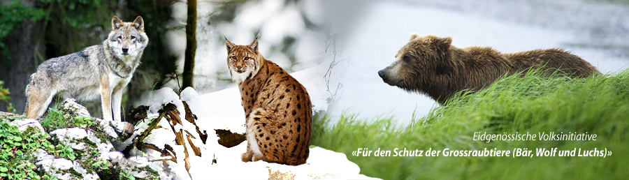 Grossraubtiere.jpg