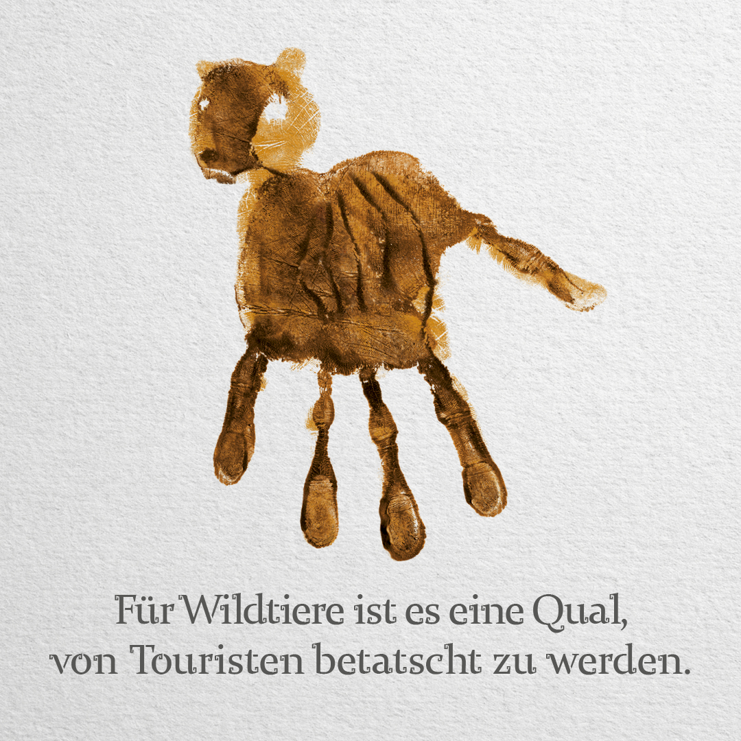 Tiger, Header Friendsmail Nr. 59