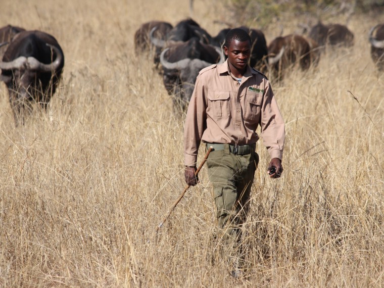 TIR freut sich über Erfolg von Rangern in Simbabwe