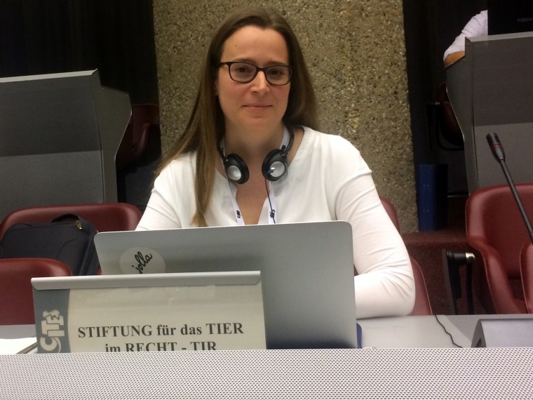 TIR an der Sitzung des Ständigen CITES-Ausschusses in Genf