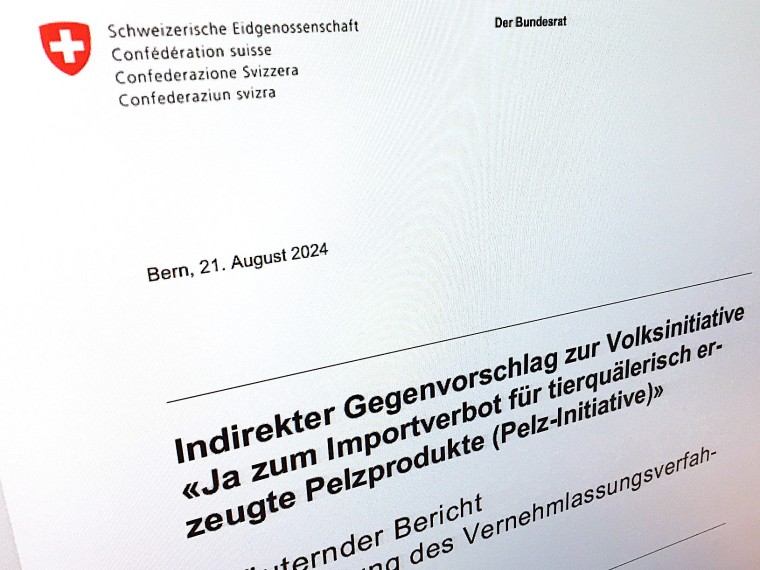 Vernehmlassung zu Pelzimportverbot – TIR, weitere Tierschutzorganisationen und Initiativkomitee reichen gemeinsame Stellungnahme ein