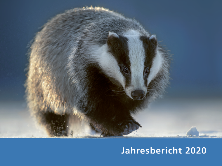 TIR-Jahresbericht 2020