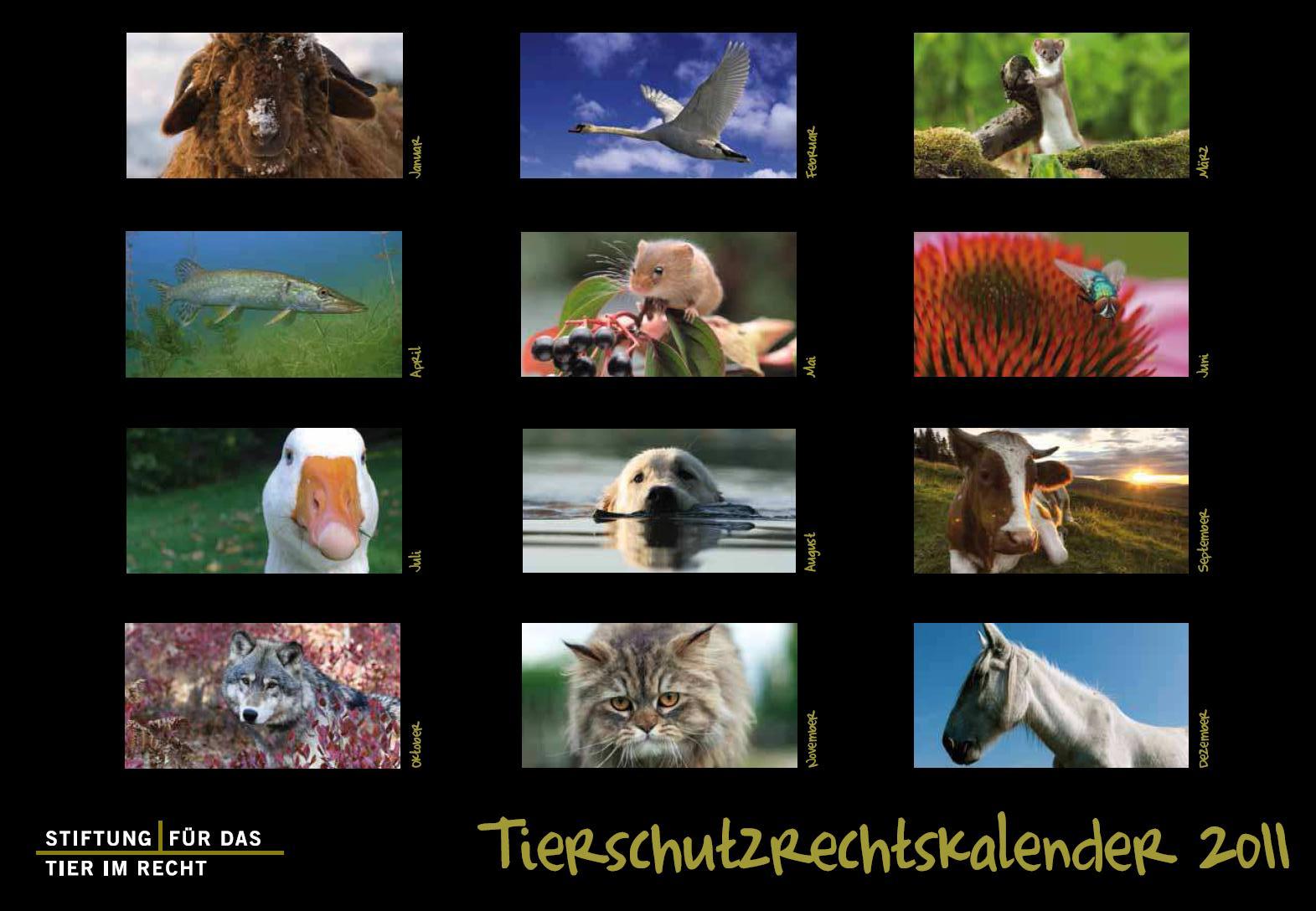 Kalender2011_back.JPG