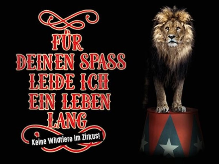 TIR enttäuscht über Antwort des BLV zur Petitionseinreichung 
