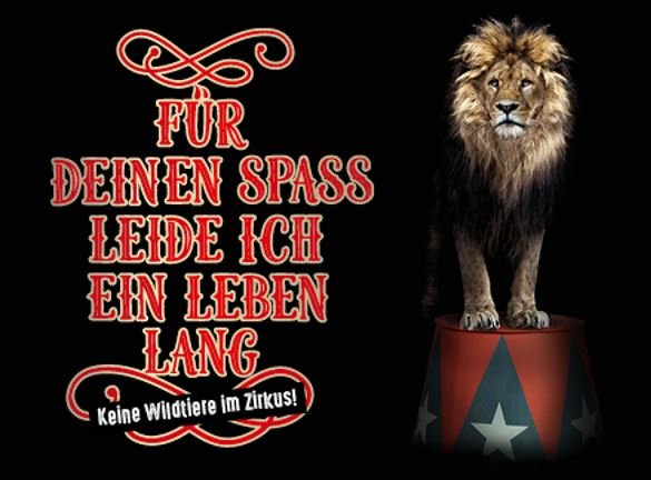 keine wildtiere im zirkus