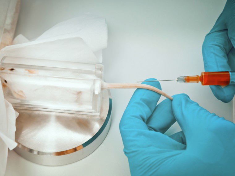 Teilrevision der Verordnungen im Veterinärbereich – TIR reicht Stellungnahme ein