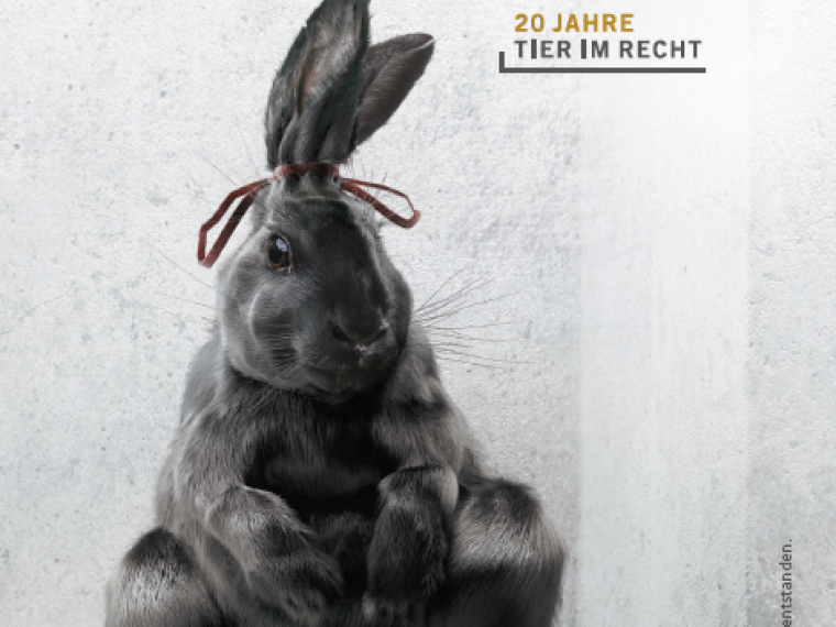 Erneute grosse Auszeichung für TIR-Kampagne 