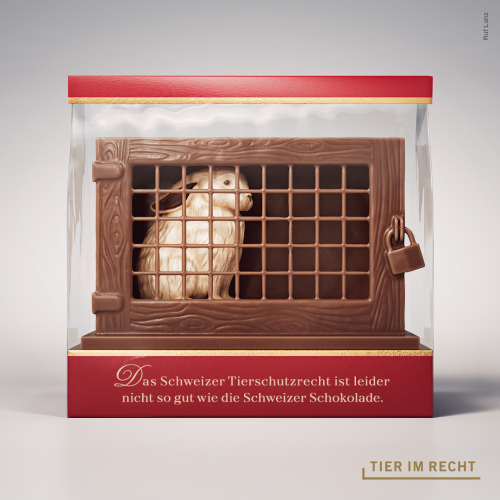 TIR Kamagne Hase