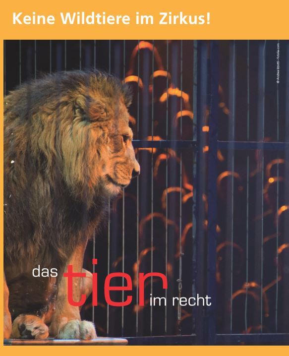 TIR Flyer Nr. 33 Keine Wildtiere im Zirkus