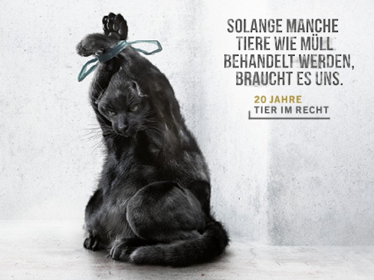 TIR lanciert neue Kampagne gegen Tierquälerei – Solange Tiere wie Müll behandelt werden, braucht es uns!