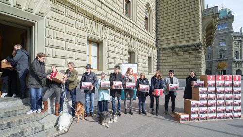 Feuerwerksinitiative erfolgreich eingereicht