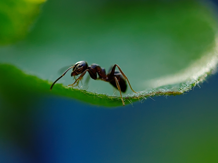 Der Frühling belebt die Natur – und unsere vier Wände