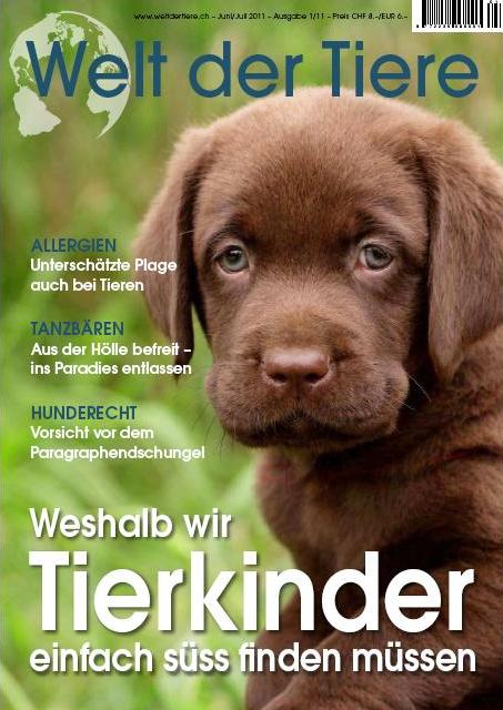 WdT_1_11_Titelblatt_1.JPG