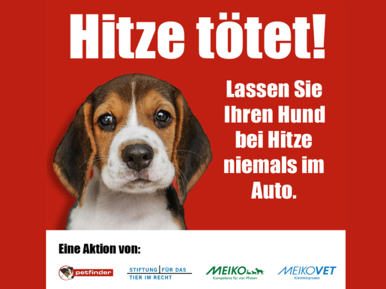Hitze tötet – bitte schützt eure Tiere