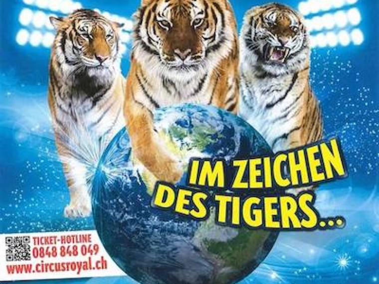 Missachtung der Tierwürde – TIR erstattet erneut Strafanzeige gegen Circus Royal