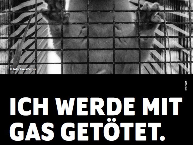 Tierschutzorganisationen verlängern gemeinsame Kampagne gegen Pelzprodukte